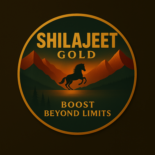 Shilajet Premium Himalayan Shilajeet – 10g | Natural Energy & Vitality Boost